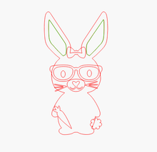 Load image into Gallery viewer, Bunny DIY Kit